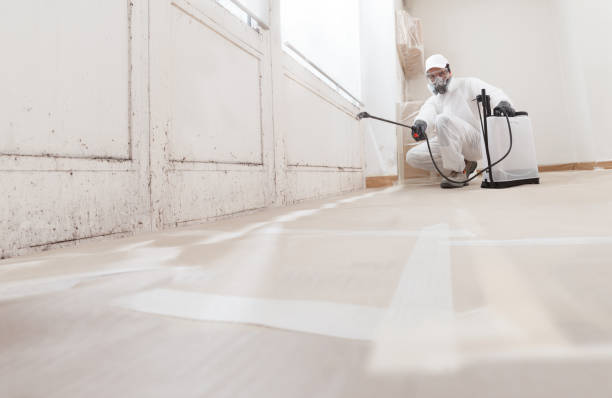 24/7 Emergency Crawl Space Mold Removal experts in Allston, MA