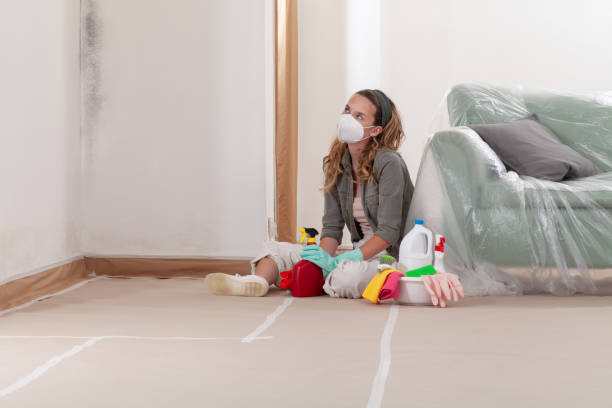 Reliable Crawl Space Mold Removal contractor in Allston, MA by WQB Mold Removal